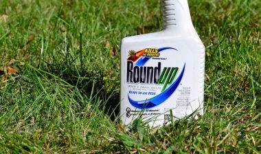 roundup roundup cancer Monsanto