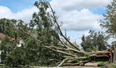 hurricane ida, nursing home and class action
