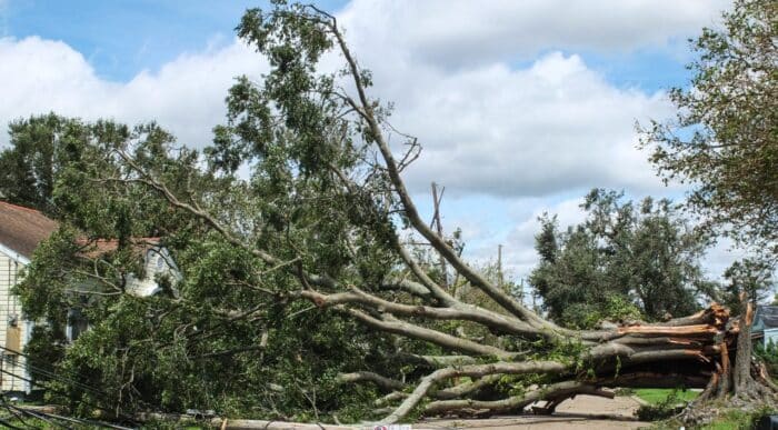 hurricane ida, nursing home and class action