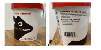 Howling cow ice cream container