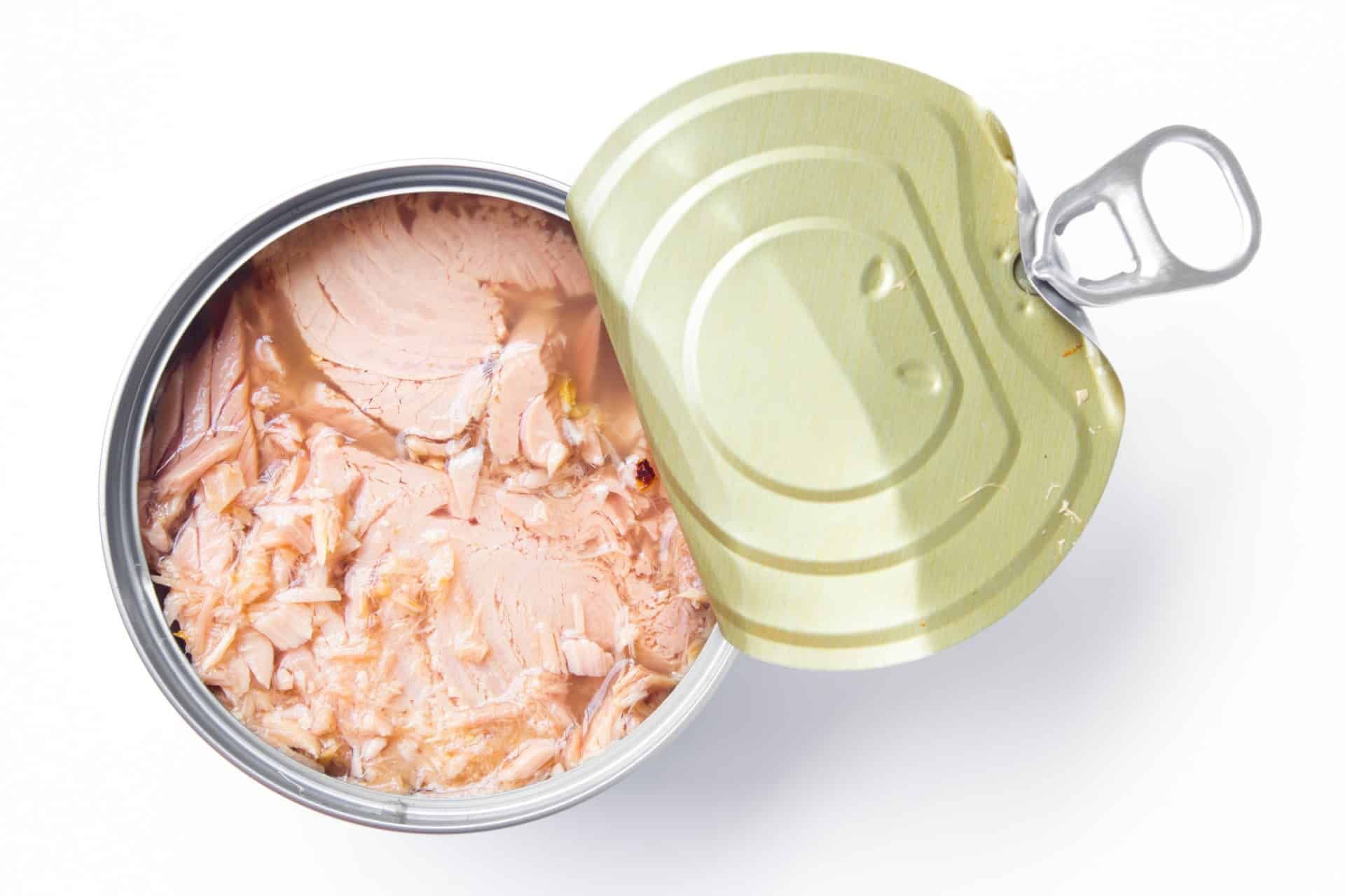 Image from above of an open tuna can with the lid still attached - tuna settlement