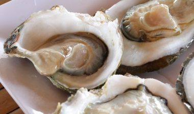 Raw Oysters in a Shell / Close up Raw Oysters in a Shell