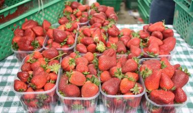 Photo of strawberries being packaged.