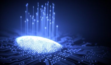 Fingerprint integrated in a printed circuit, releasing binary codes.