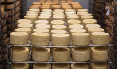 A variety of different cheese blocks are being aged.