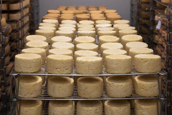 A variety of different cheese blocks are being aged.