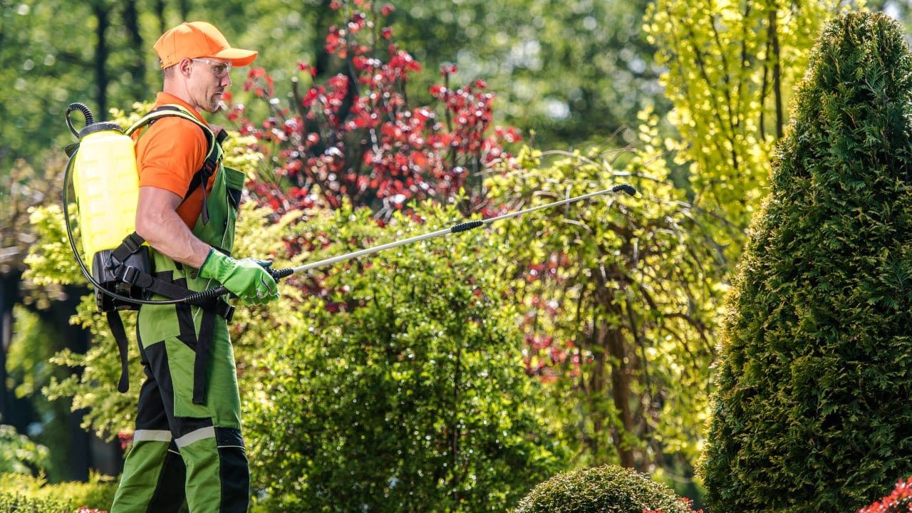 Is Roundup harmful to humans?