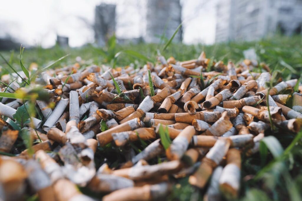 Close up of cigarette butts in a grassy field.