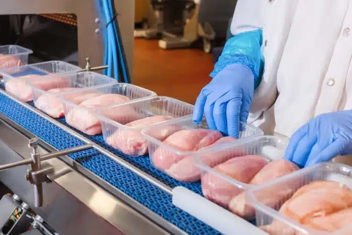 Close up of raw chicken on a conveyer belt being packaged by a factory worker.