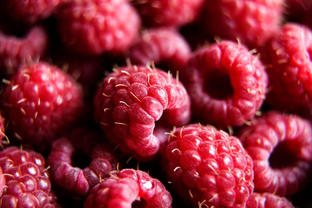 Close up of red raspberries.