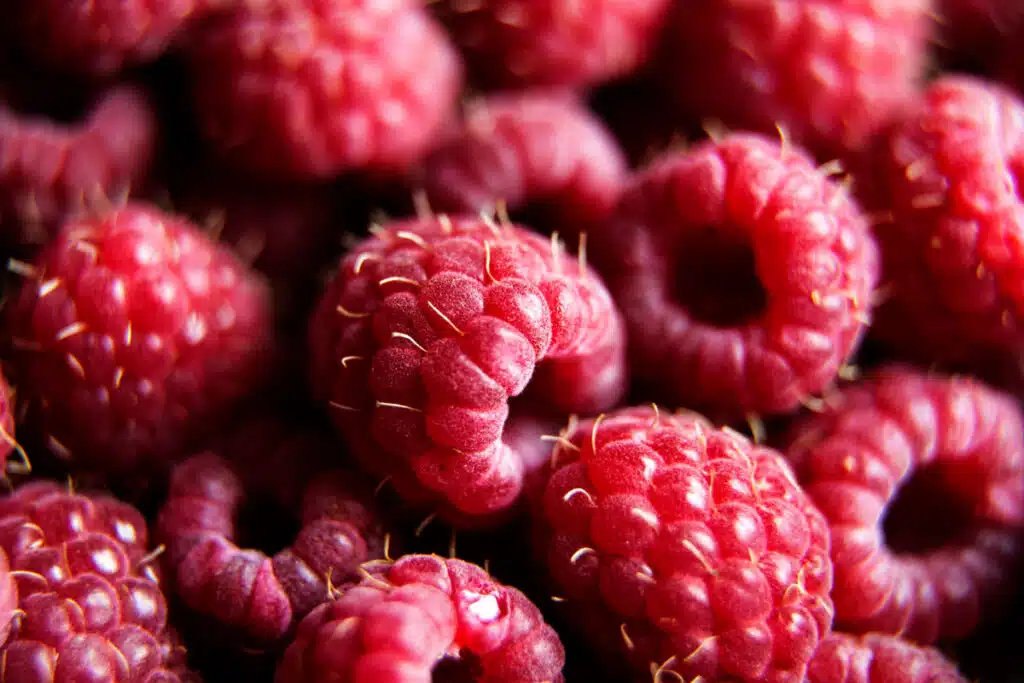 Close up of red raspberries.