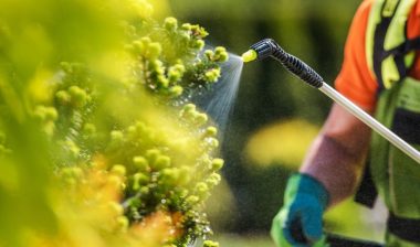 Gardener spraying pesticides