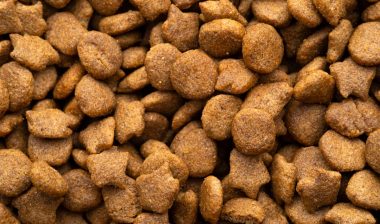 Close up of dry dog food kibble, representing the Midwest Pet Foods settlement.
