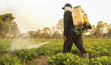 Farmer spraying herbicides, Paraquat use may lead to Parkinson’s disease, according to studies from the National Institutes of Health and other researchers.