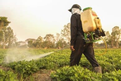 Farmer spraying herbicides, Paraquat use may lead to Parkinson’s disease, according to studies from the National Institutes of Health and other researchers.