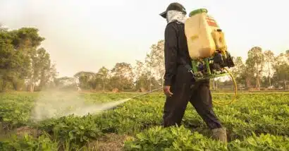 Sidebar Single Image