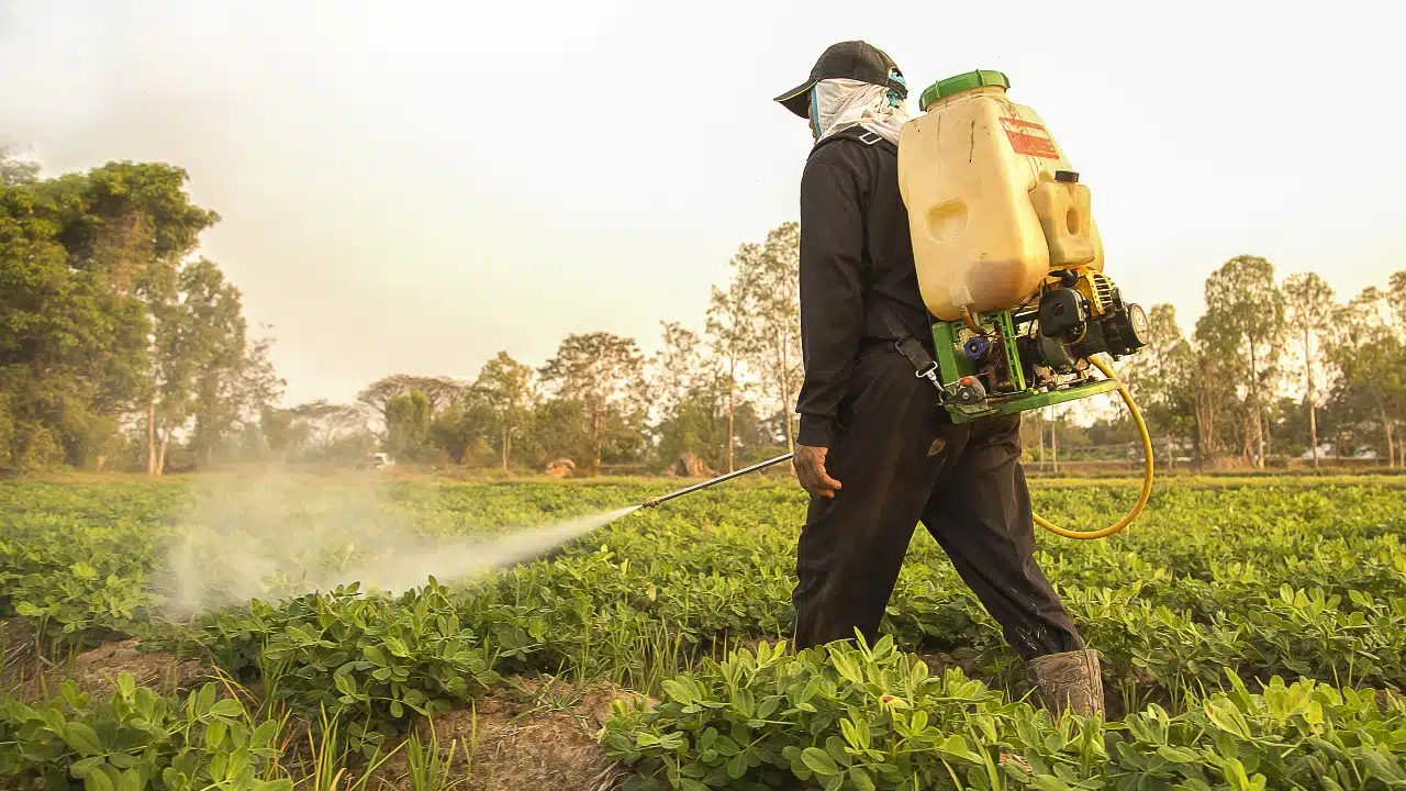 Farmer spraying herbicides, Paraquat use may lead to Parkinson’s disease, according to studies from the National Institutes of Health and other researchers.