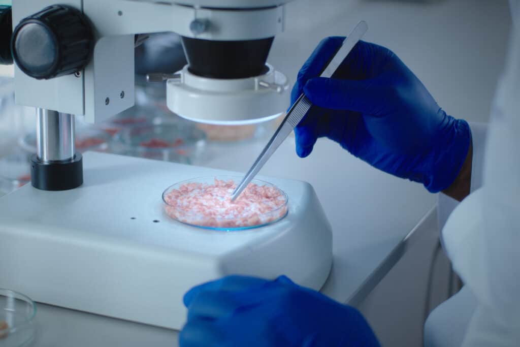 A lab worker examining lab grown chicken, representing the USDA's approval of lab-grown chicken.