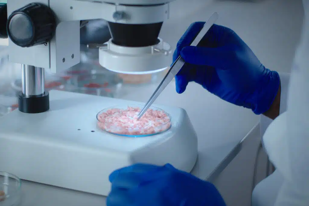 A lab worker examining lab grown chicken, representing the USDA's approval of lab-grown chicken.