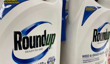 Close up of Roundup bottles, representing The New York Roundup settlement.