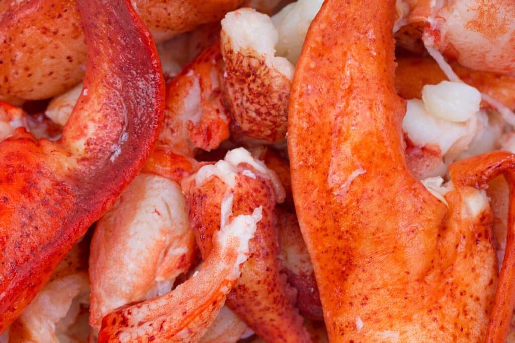 Close up of lobster meat, representing the lobster recall.