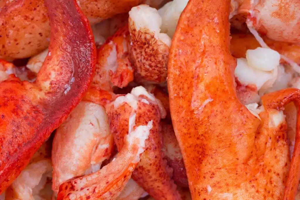 Close up of lobster meat, representing the lobster recall.