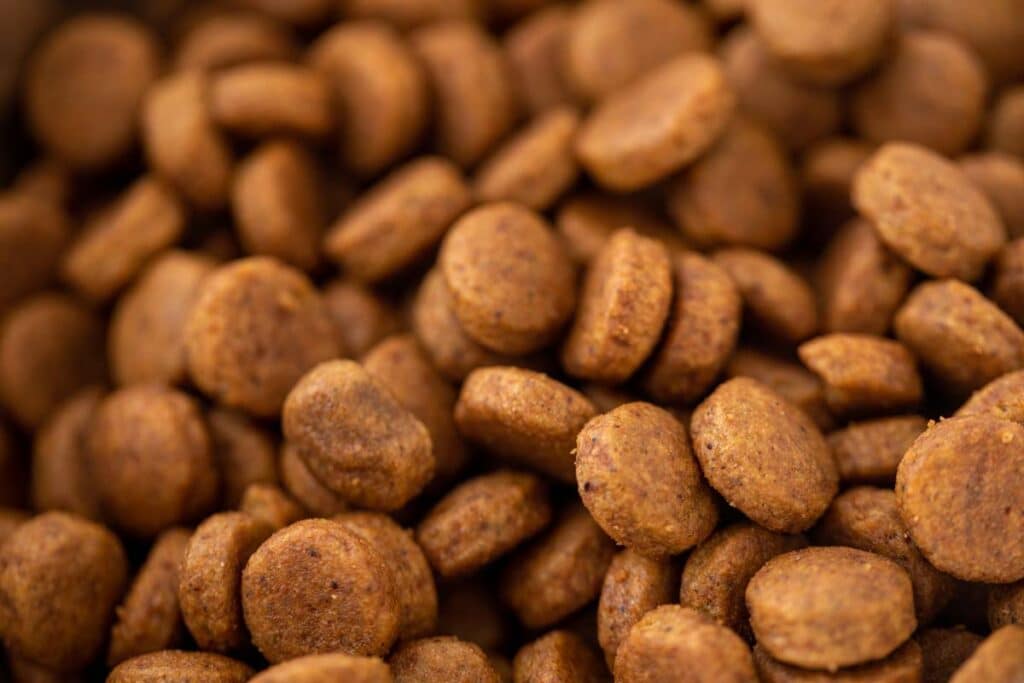 Close up of dry dog kibble, representing the Mid-America pet food class action.