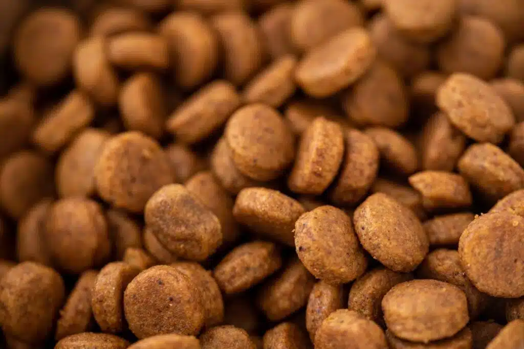 Close up of dry dog kibble, representing the Mid-America pet food class action.