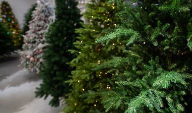 A row of artificial trees in a store, representing Americans' fake tree use.