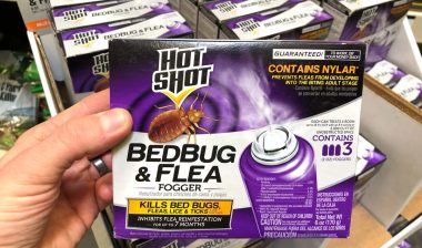 Hand holding a box of Hot Shot Beg Bug & Flea Fogger, representing the Hot Shot bedbug pesticide class action.