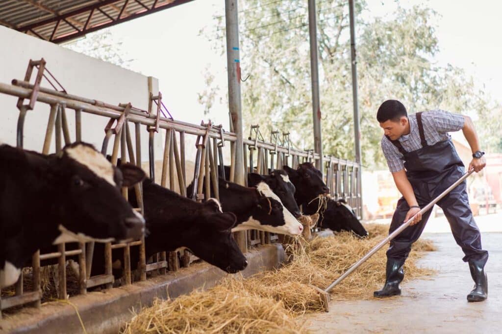 A farm worker completing work duties, representing the Greenridge Farm settlement.