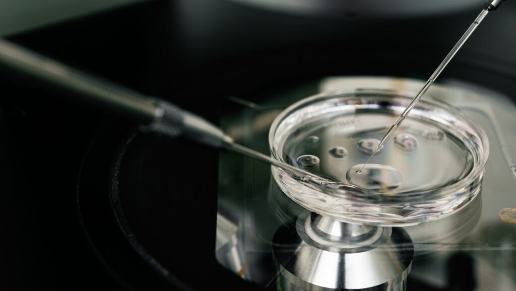microscope for in vitro fertilization process close up. . Equipment on laboratory of Fertilization, IVF.
