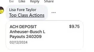 Anheuser-BuschRitasFB22-12-24 settlement payments