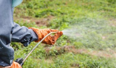 Close up of a farmer spraying herbicide, representing the Paraquat lawsuits.