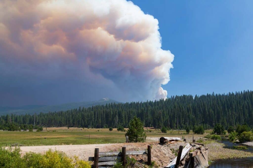 Smoke from the 2021 Dixie Fire burning emerging from a forest, representing the Pacific Gas and Electric lawsuit.
