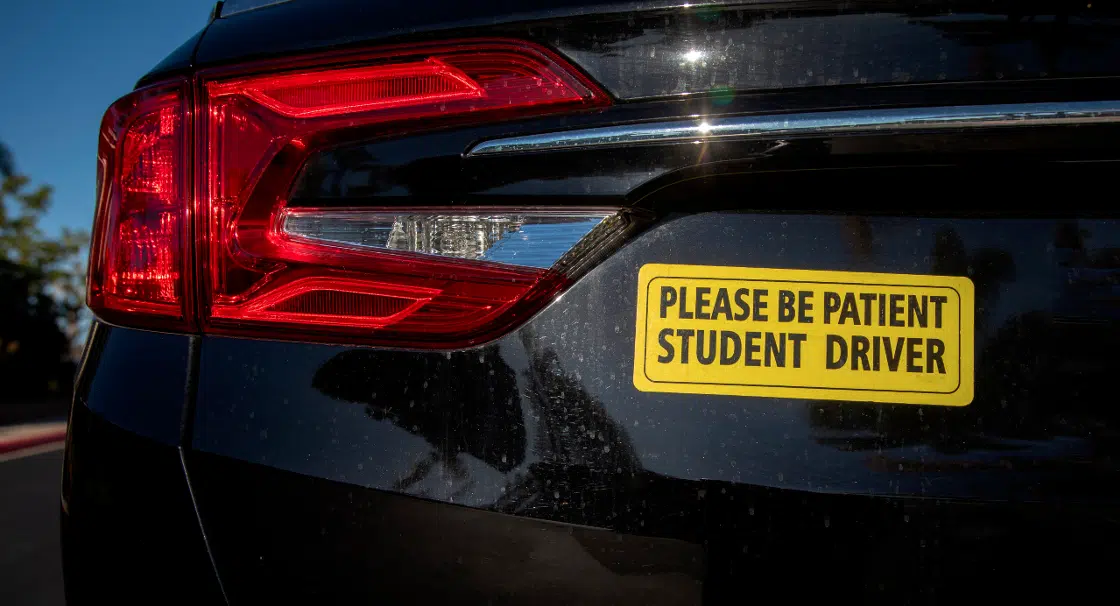 Yellow student driver sticker on car.