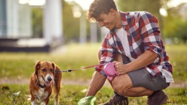 Man picking up dog poop with decomposable bag.