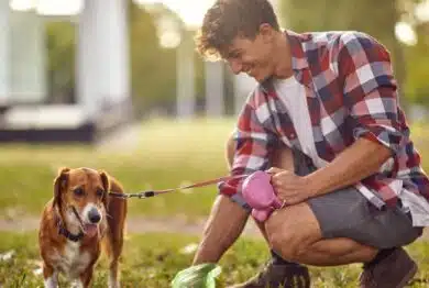 Man picking up dog poop with decomposable bag.