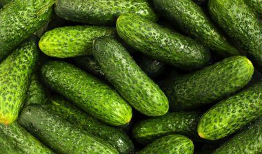 Close up of cucumbers, representing the salmonella recall.