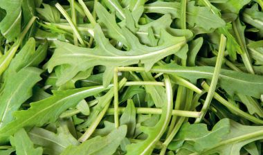 Filled frame of baby arugula, representing the baby arugula recall.