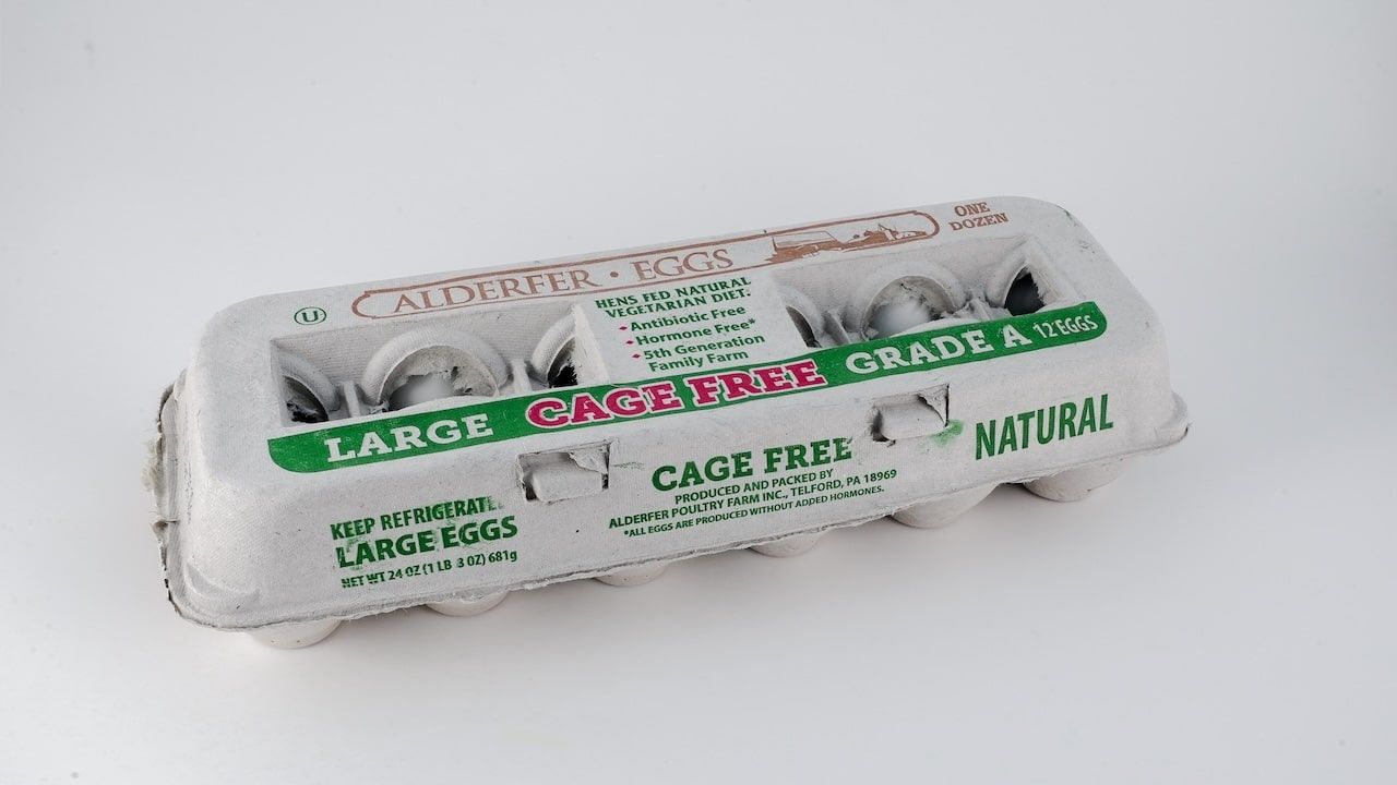 A cardboard carton with cage free large eggs from Alderfer sits against a plain background, highlighting organic farming practices.