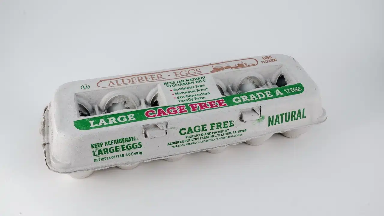 A cardboard carton with cage free large eggs from Alderfer sits against a plain background, highlighting organic farming practices.
