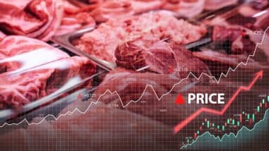 Shot of uncooked fresh meat in counter of meat store. Price increase of meat products.