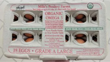 Product photo of recalled eggs, representing the egg recall.