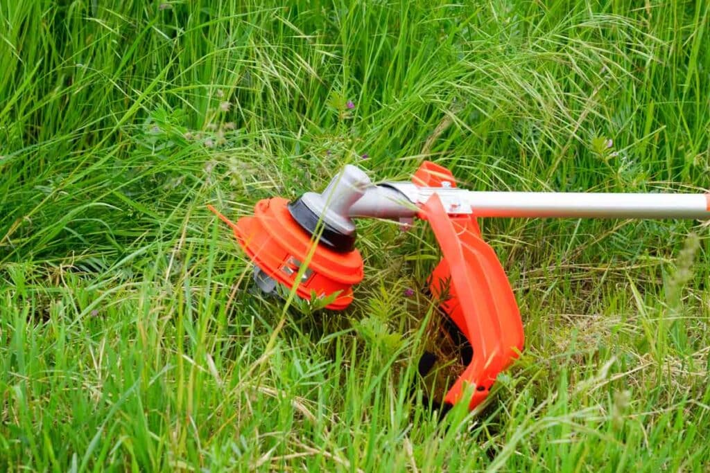 Close up of an orange grass trimmer surrounded by grass, representing the Husqvarna class action.