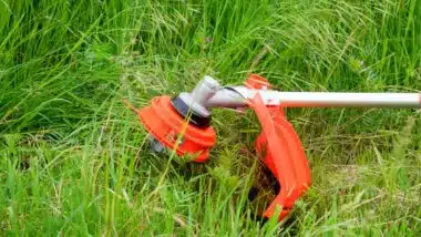 Close up of an orange grass trimmer surrounded by grass, representing the Husqvarna class action.