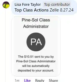 Pine+Sol+FB+8-27-24 checks in the mail