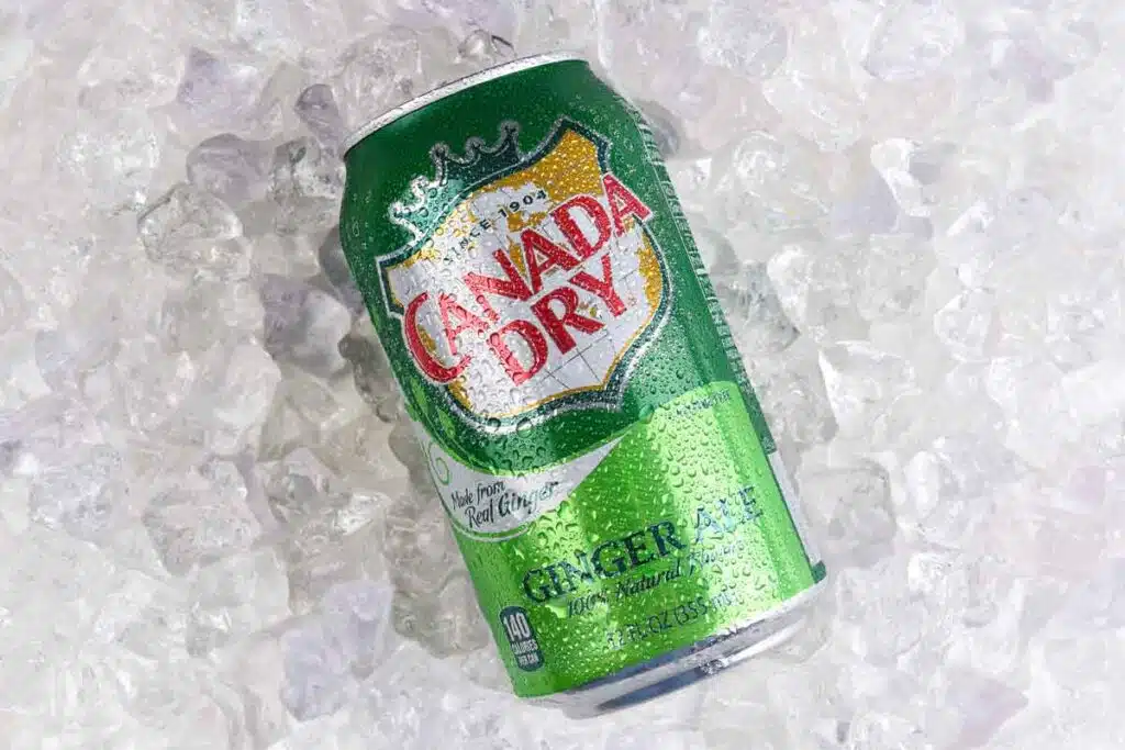 Close up of Canada Dry can in ice, representing the ginger ale class action.