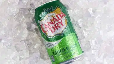 Close up of Canada Dry can in ice, representing the ginger ale class action.