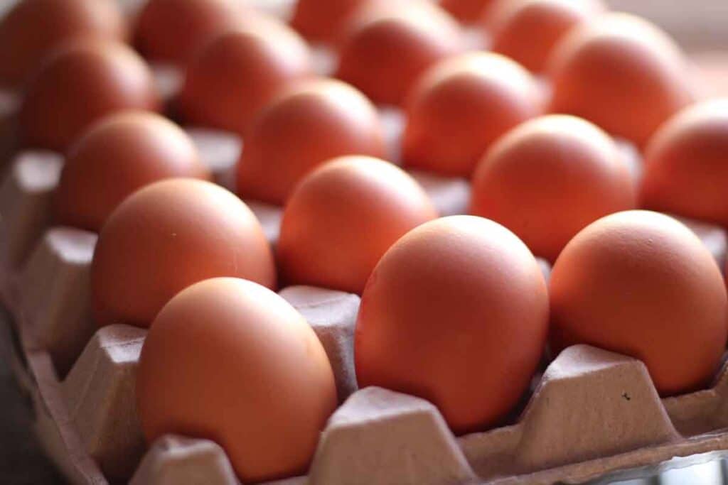 Close up of eggs, representing the Milo's eggs class action.